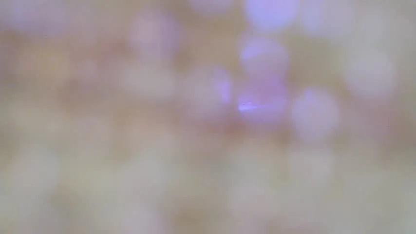 Live sex webcam photo for vane_10