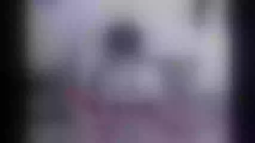 Live sex webcam photo for xgetxlowx