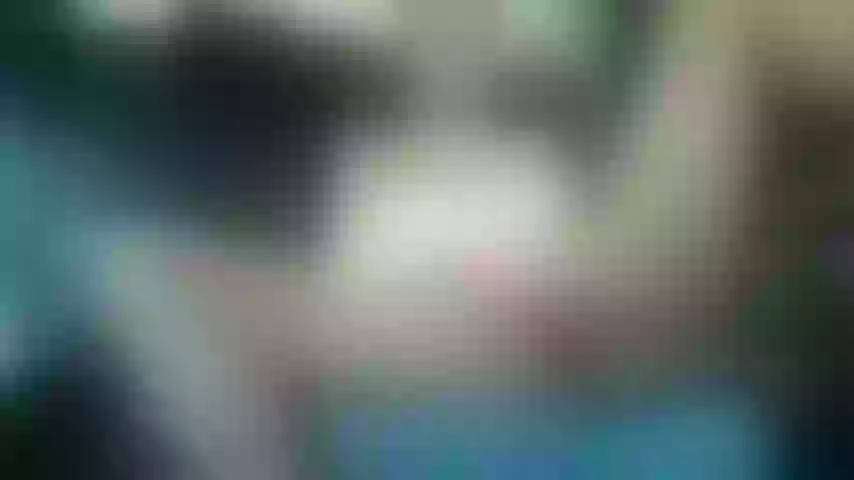 Live sex webcam photo for yourguiltypassionn