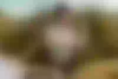 Live sex webcam photo for AmeliaCerry #290123891