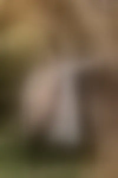Live sex webcam photo for AnnetTomson #290170670