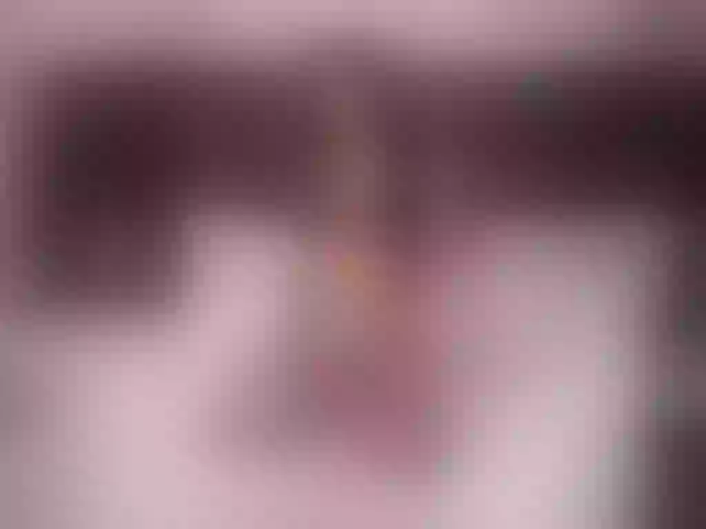 Live sex webcam photo for AnnyBotero #277714915