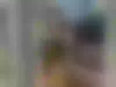 Live sex webcam photo for AntonellaCossio #290167667