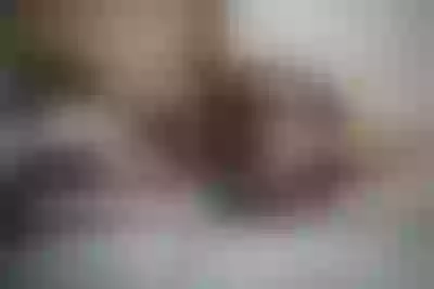 Live sex webcam photo for BlancheSummer #290193087