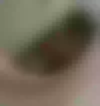 Live sex webcam photo for CelineReys #290137034