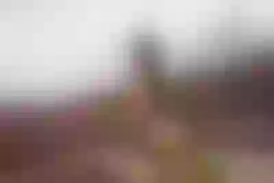 Live sex webcam photo for CelineReys #290137056