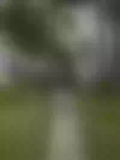 Live sex webcam photo for CelineReys #290137093