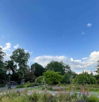 Live sex webcam photo for DonnaCarther #290193668