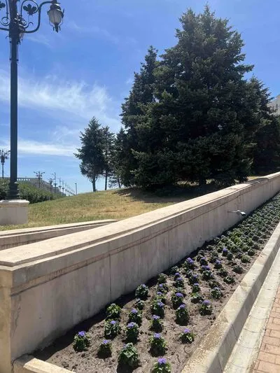 Live sex webcam photo for DonnaCarther #290193676