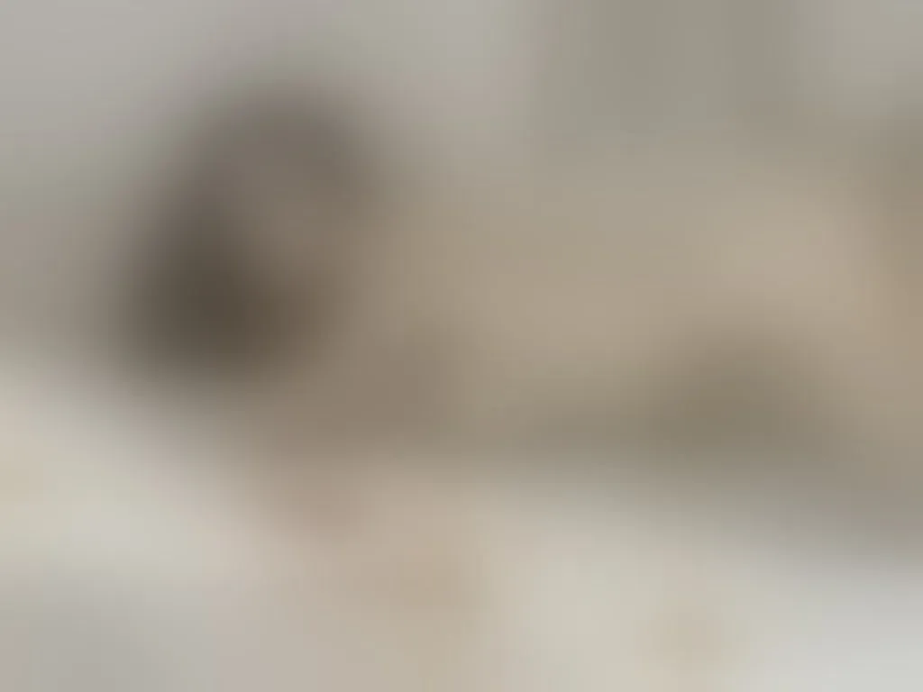 Live sex webcam photo for EllyYang #276159588