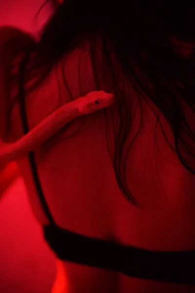 Live sex webcam photo for EvaCreek #290170072