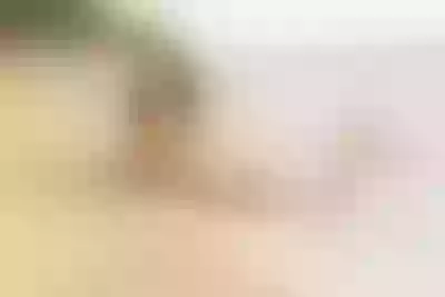 Live sex webcam photo for FabianaLima #290123414