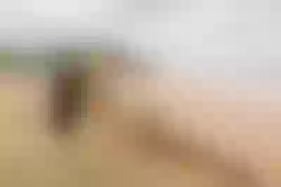 Live sex webcam photo for FabianaLima #290123417