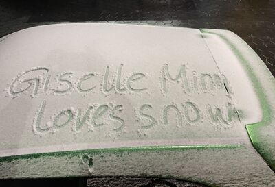 Live sex webcam photo for GiselleMina #290127625