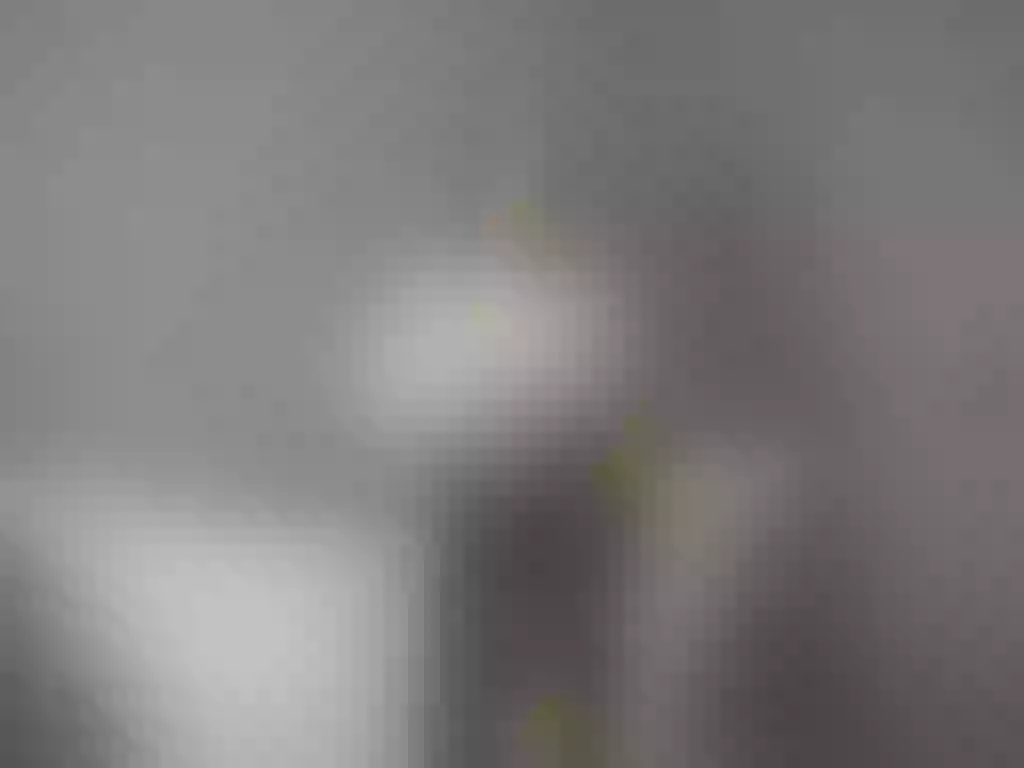Live sex webcam photo for HanieYang #277455800