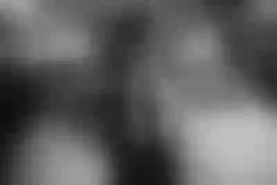Live sex webcam photo for IsabelBrouw #290158621