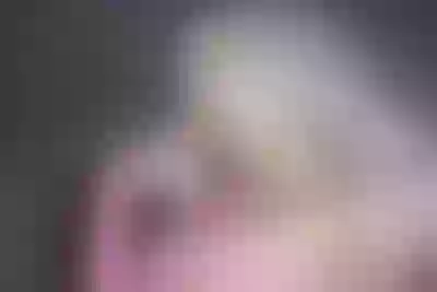 Live sex webcam photo for JessieBreen #290124342
