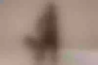 Live sex webcam photo for KandiEsquivel #290158741