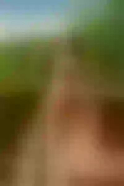 Live sex webcam photo for LaraHayes #290193837