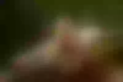 Live sex webcam photo for LaraHayes #290193844