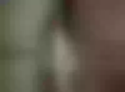Live sex webcam photo for LeylaNagi #290159607