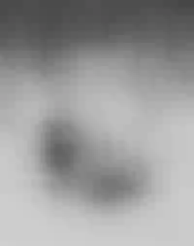 Live sex webcam photo for MileyButters #290158158