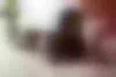 Live sex webcam photo for SaraLennox #290125277