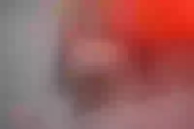 Live sex webcam photo for SarahPearson #290168947