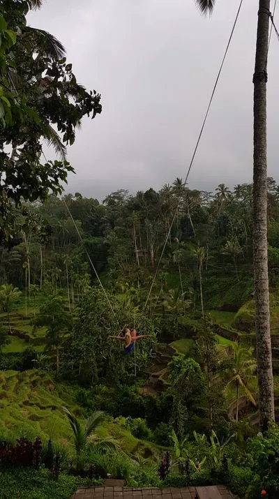 Live sex webcam photo for SereneRose #290160095