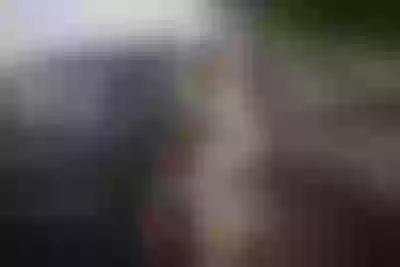 Live sex webcam photo for Sofiya #290170113