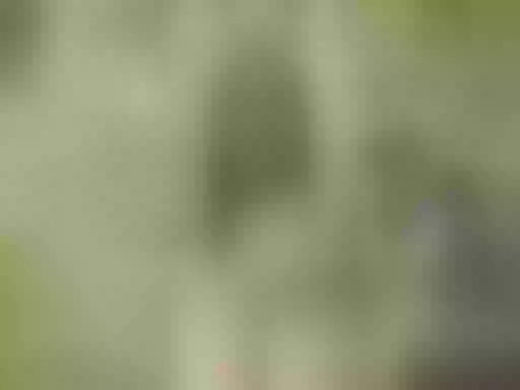 Live sex webcam photo for SusyPeters #277516689