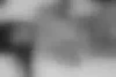 Live sex webcam photo for VanessaOssry #290170601