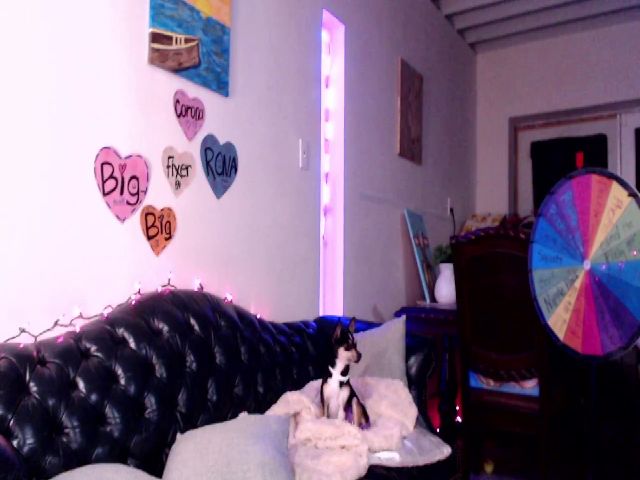 Live sex webcam photo for ATinyCassie #272275831