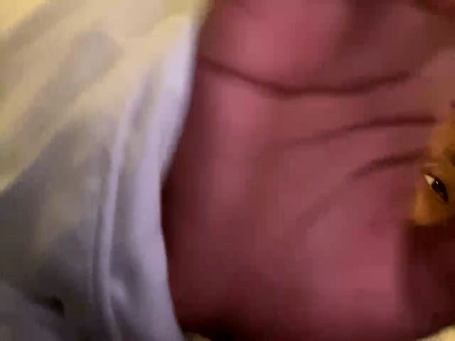 Live sex webcam photo for AaliyahSins #273642698