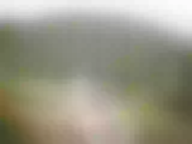 Live sex webcam photo for AfroDarkBabe #271721972