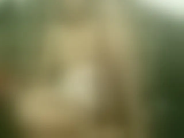 Live sex webcam photo for AfroDarkBabe #271722780