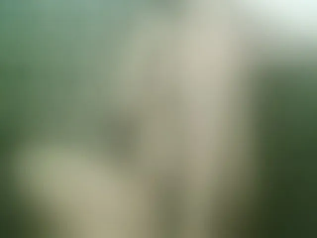Live sex webcam photo for AfroDarkBabe #272959639