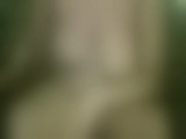 Live sex webcam photo for AfroDarkBabe #272986626