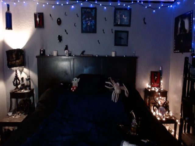 Live sex webcam photo for AlchemyBlue #272541267