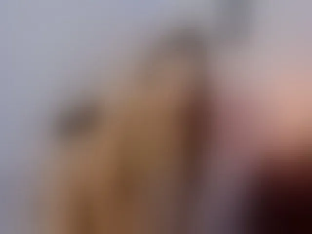 Live sex webcam photo for Alexajr #271881579