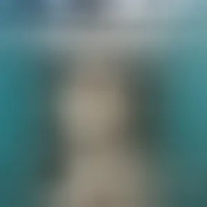 Live sex webcam photo for AmandaTeasing #293101939