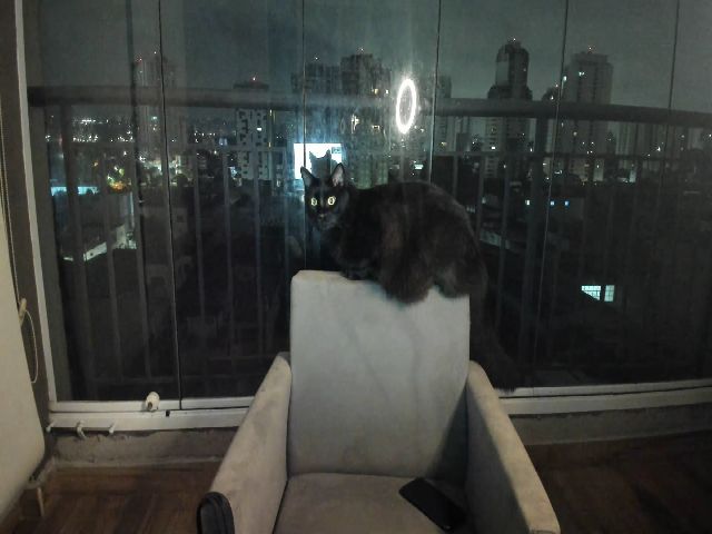 Live sex webcam photo for AmyKGreen #272949729