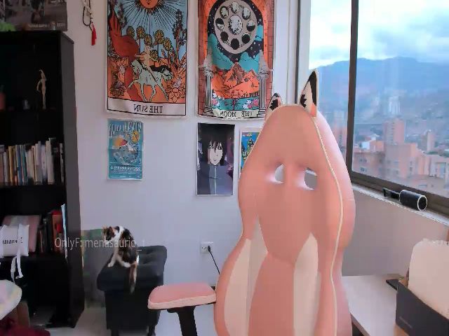 Live sex webcam photo for AmyWinne #273817062