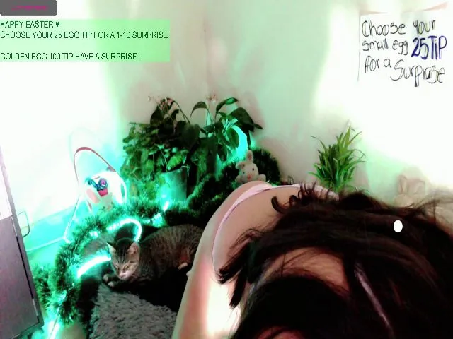 Live sex webcam photo for Amystefa #273103899