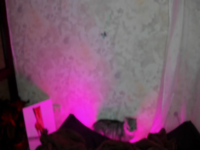 Live sex webcam photo for Angel_Amelie #271805433