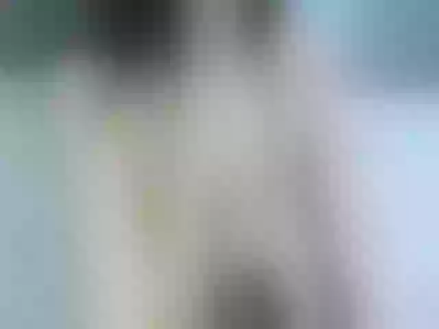 Live sex webcam photo for AngelinaNoel #273310784