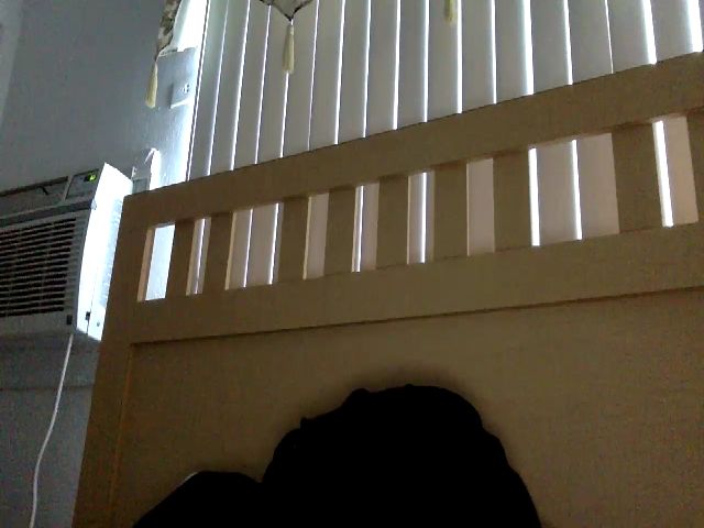 Live sex webcam photo for Annamae_Anime #273796414