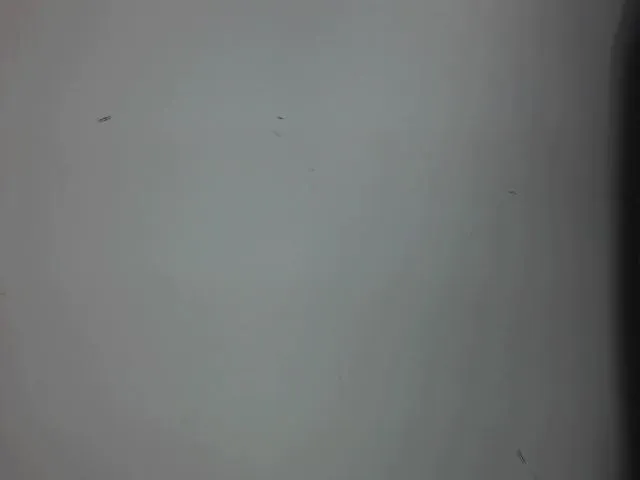 Live sex webcam photo for AnneSofia #273816931