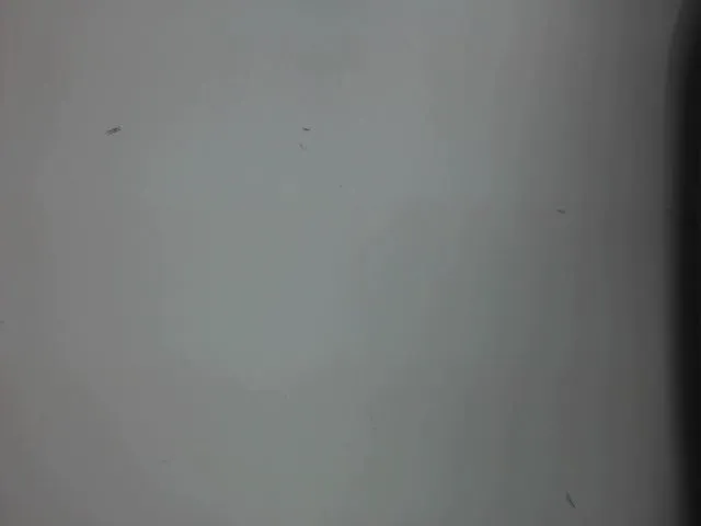 Live sex webcam photo for AnneSofia #273816978