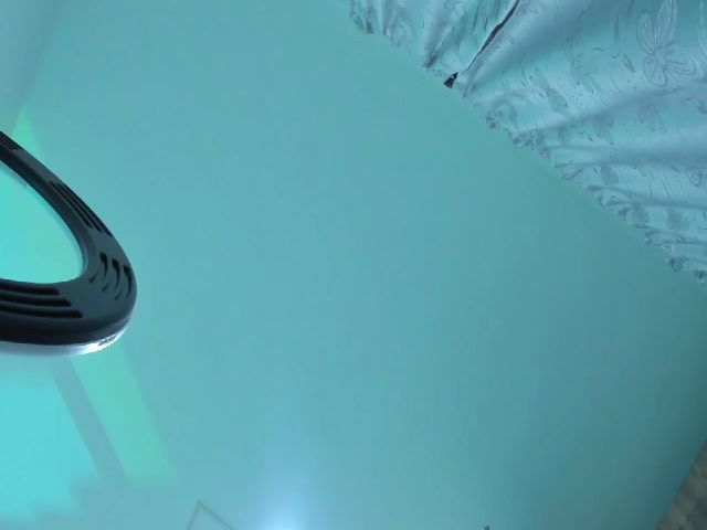 Live sex webcam photo for AntonelaBella #271880009